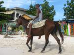 Horseback riding on beach in Negril Jamaica